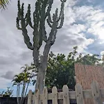 Primavera Apartmán