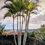 Apartmán Primavera